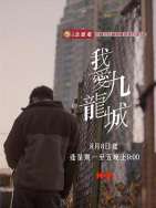 我爱九龙城粤语
